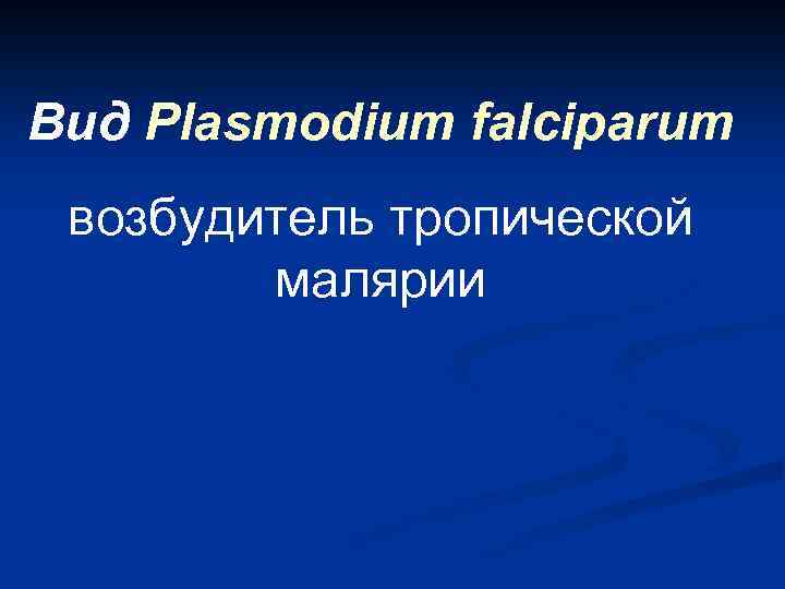 Вид Plasmodium falciparum возбудитель тропической малярии 