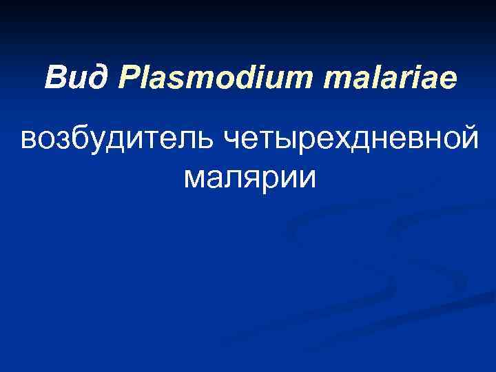Вид Plasmodium malariae возбудитель четырехдневной малярии 