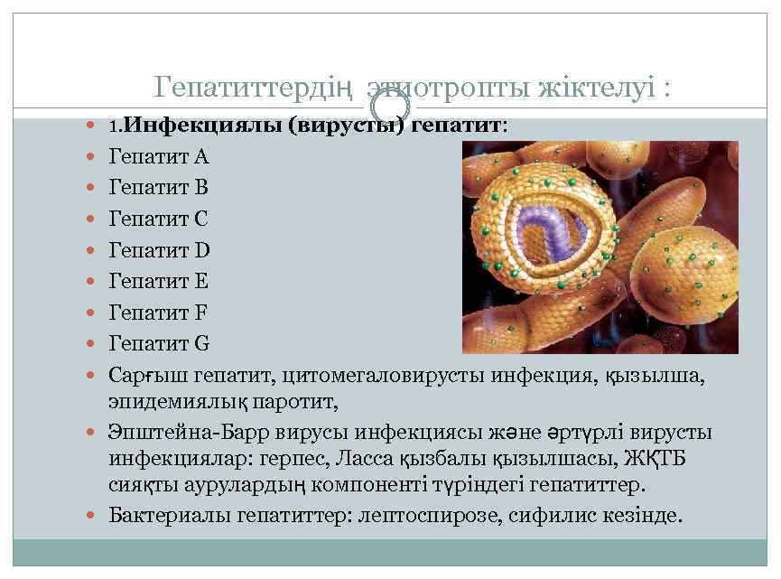 Гепатиттердің этиотропты жіктелуі : 1. Инфекциялы (вирусты) гепатит: Гепатит A Гепатит B Гепатит C