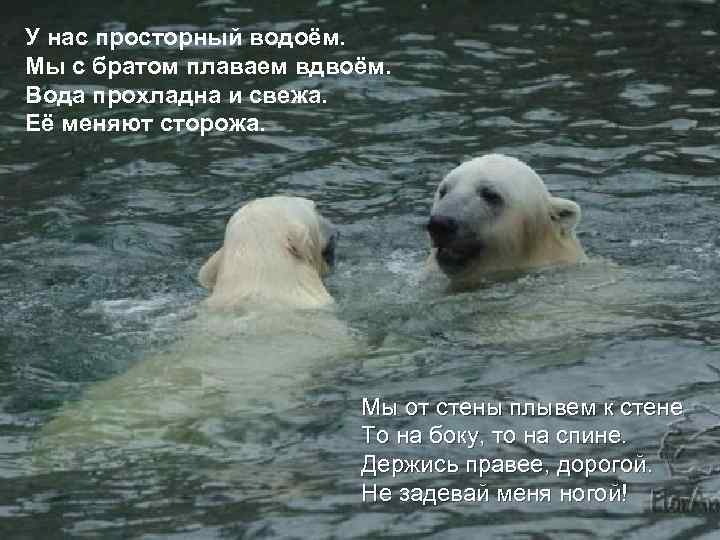 У нас просторный водоём. Мы с братом плаваем вдвоём. Вода прохладна и свежа. Её