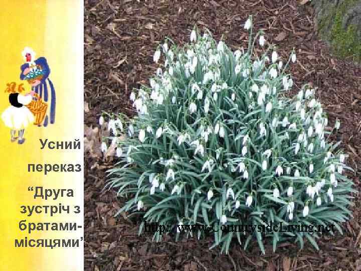 Усний переказ “Друга зустріч з братамимісяцями” 