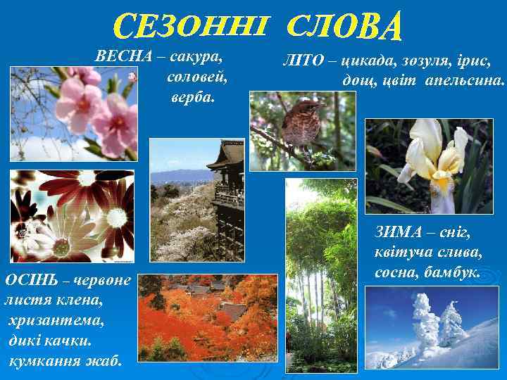 ВЕСНА – сакура, соловей, верба. ОСІНЬ – червоне листя клена, хризантема, дикі качки. кумкання