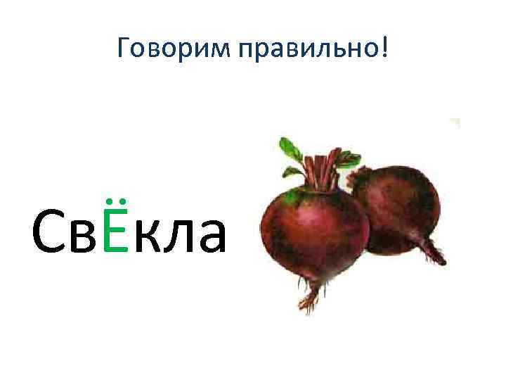 Верно говоришь. Как правильно пишется свекла или свёкла. Свёкла или свёкла правильное ударение свёкла. Свёкла или свекла как правильно говорить. Ударение свёкла ударение.