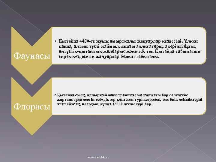 Фаунасы Флорасы • Қытайда 4400 -ге жуық омыртқалы жануарлар кездеседі. Үлкен панда, алтын түсті