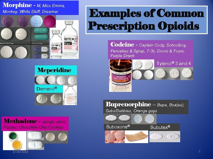 Morphine - M, Miss Emma, Monkey, White Stuff, Dreamer Examples of Common Prescription Opioids