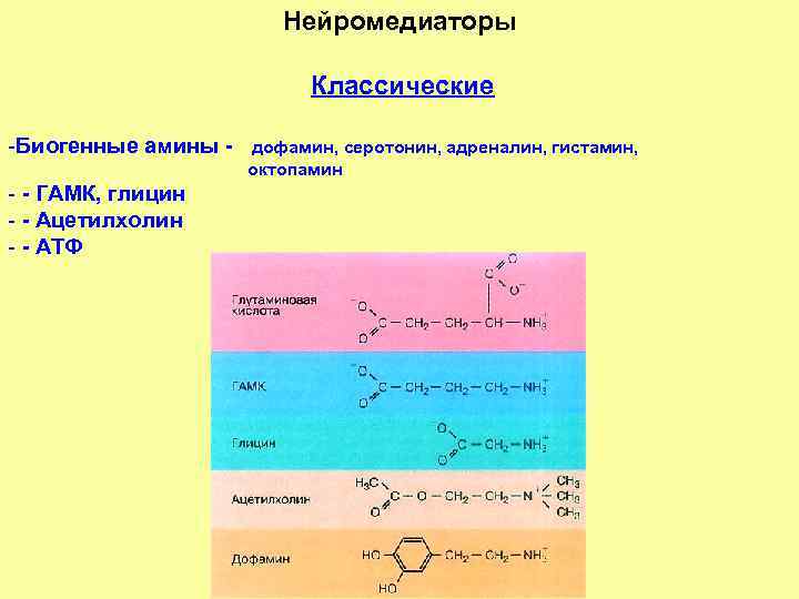 Нейромедиаторы Классические -Биогенные амины - - ГАМК, глицин - - Ацетилхолин - - АТФ