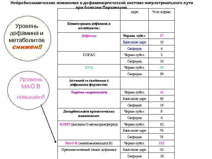 Нейробиохимические изменения в дофаминергической системе нигростриального пути при болезни Паркинсона. ядро Черная субст. 17