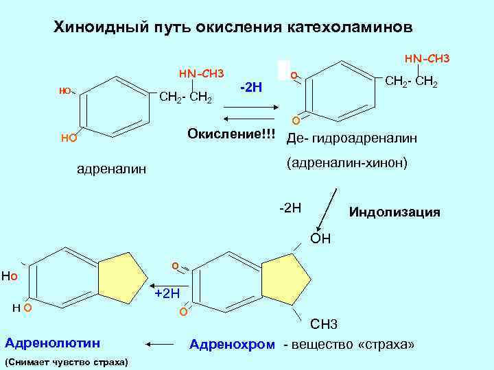 Хиноидный путь окисления катехоламинов НN-СН 3 НО CH 2 - CH 2 -2 H