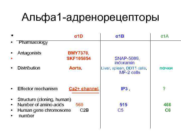 Альфа 1 -адренорецепторы • α 1 D α 1 B α 1 A •