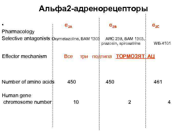 Альфа 2 -адренорецепторы • α 2 A α 2 B α 2 C Pharmacology