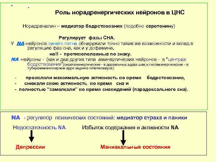  • . Роль норадренергических нейронов в ЦНС Норадреналин – медиатор бодрствования (подобно серотонину)