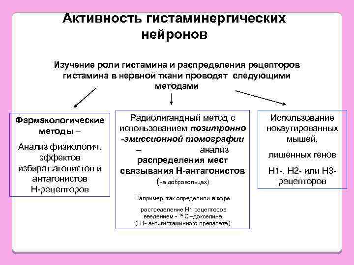 Мегафон тормозит образование фад в нервной ткани используется как седативное средство