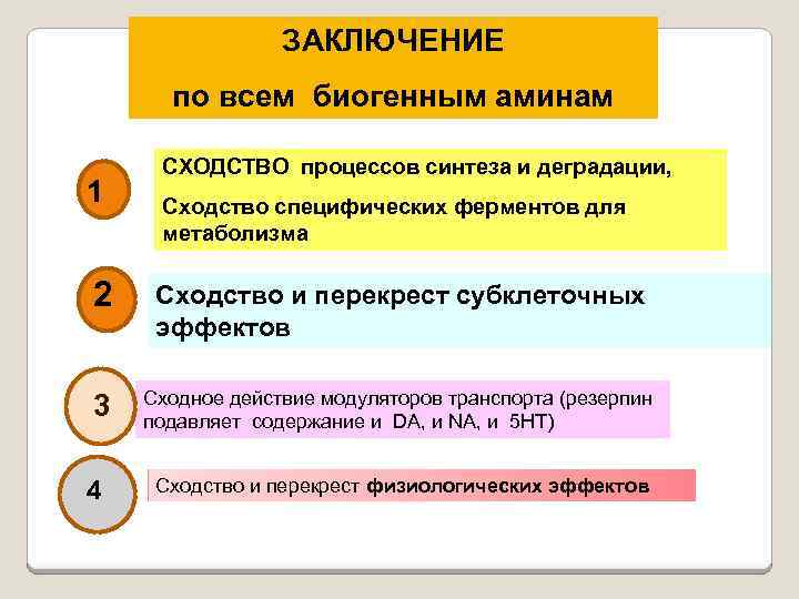 ЗАКЛЮЧЕНИЕ по всем биогенным аминам 1 СХОДСТВО процессов синтеза и деградации, Cходство специфических ферментов
