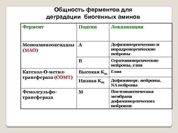 Общность ферментов для деградации биогенных аминов Фермент Подтип Локализация Моноаминооксидазы A (МАО) Дофаминергические и