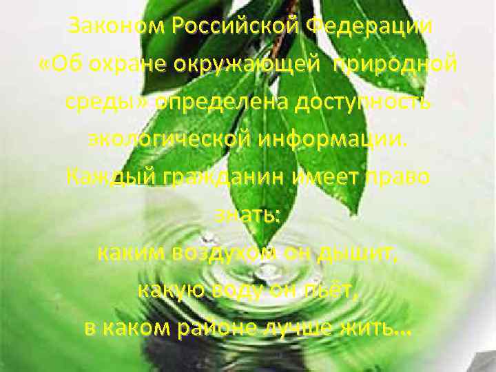 Законом Российской Федерации «Об охране окружающей природной среды» определена доступность экологической информации. Каждый гражданин