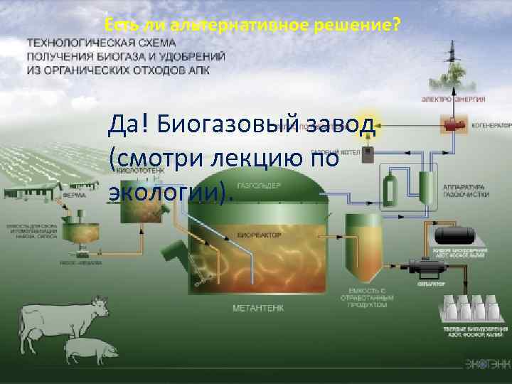 Есть ли альтернативное решение? Да! Биогазовый завод (смотри лекцию по экологии). 