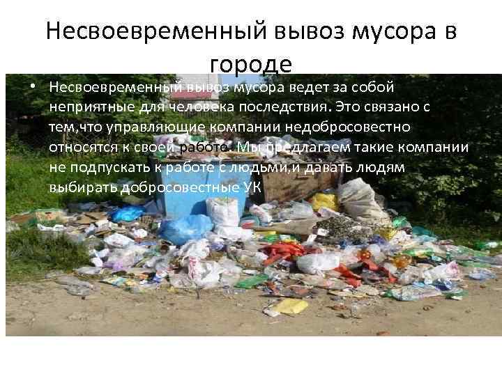 Несвоевременный вывоз мусора в городе • Несвоевременный вывоз мусора ведет за собой неприятные для