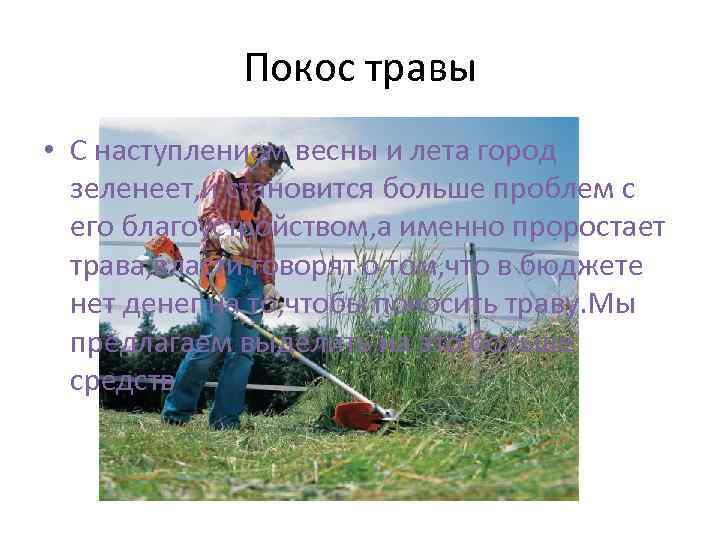 Покос травы • С наступлением весны и лета город зеленеет, и становится больше проблем