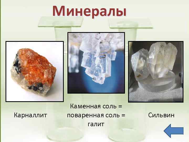 Минералы Карналлит Каменная соль = поваренная соль = галит Сильвин 