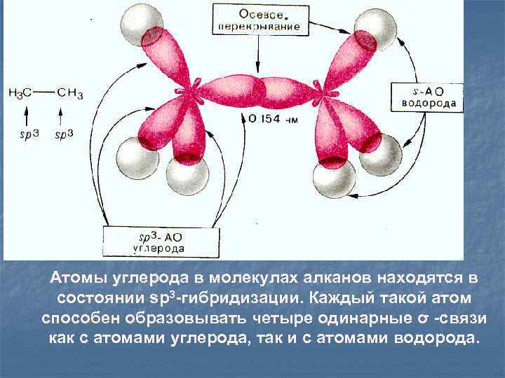 Атомы углерода в молекулах алканов находятся в состоянии sp 3 -гибридизации. Каждый такой атом