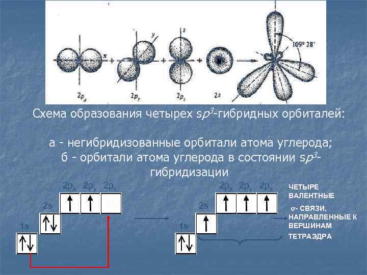 Схема образования четырех sp 3 -гибридных орбиталей: а - негибридизованные орбитали атома углерода; б