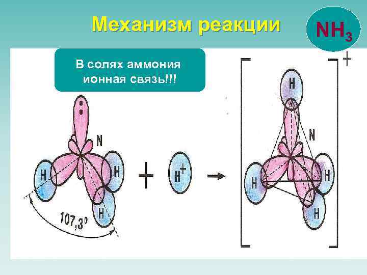 Механизм реакции В солях аммония ионная связь!!! NH 3 