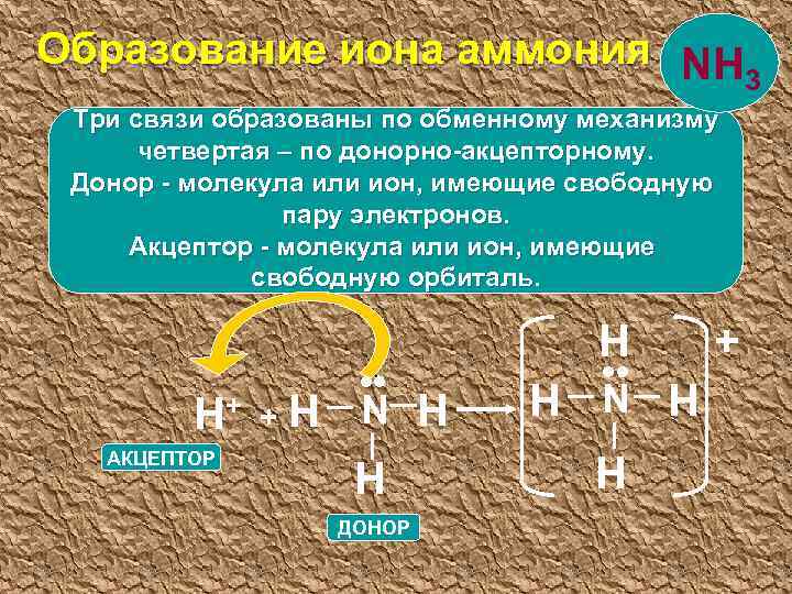 Образование иона аммония NH 3 Три связи образованы по обменному механизму четвертая – по