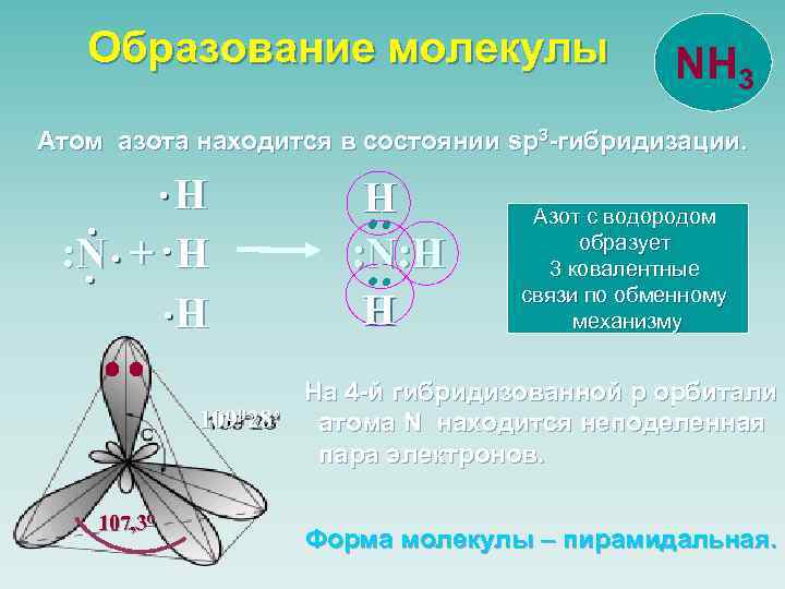 Образование молекулы NH 3 Атом азота находится в состоянии sp 3 -гибридизации. : :