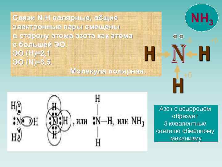 Связи N-H полярные, общие электронные пары смещены в сторону атома азота как атома с