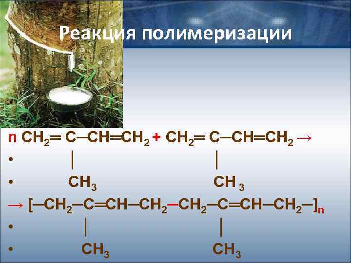 Реакция полимеризации n СН 2═ С─СН═СН 2 + СН 2═ С─СН═СН 2 → •