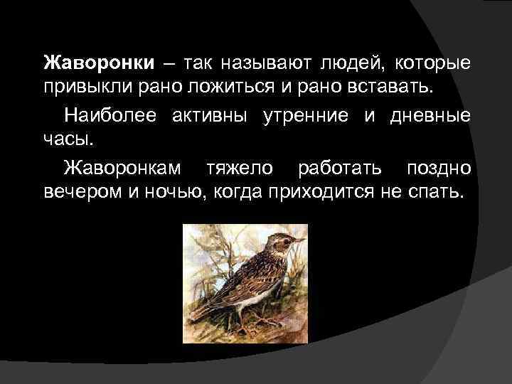 Жаворонки – так называют людей, которые привыкли рано ложиться и рано вставать. Наиболее активны