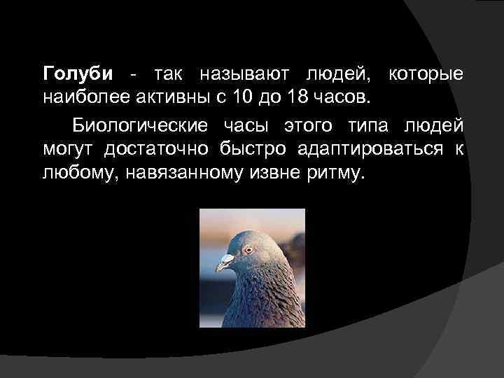 Голуби - так называют людей, которые наиболее активны с 10 до 18 часов. Биологические