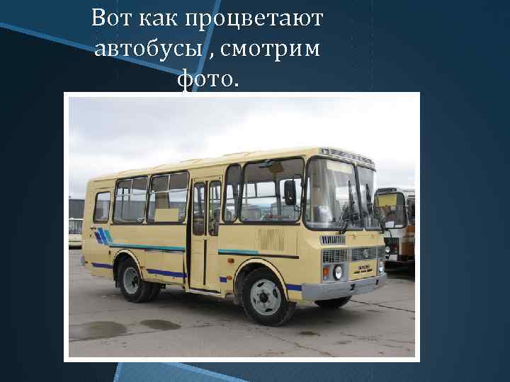 Вот как процветают автобусы , смотрим фото. 