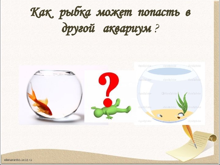 Как рыбка может попасть в другой аквариум ? 