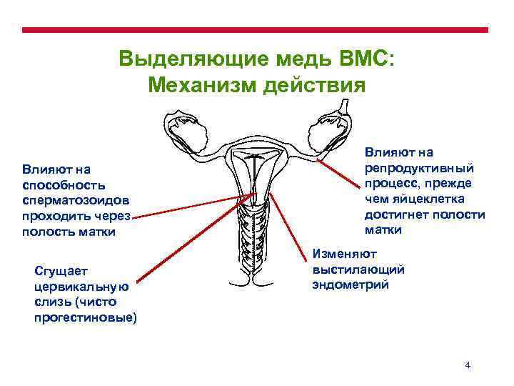 Выделяющие медь ВМС: Механизм действия Влияют на способность сперматозоидов проходить через полость матки Сгущает