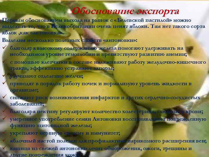 Обоснование экспорта Первым обоснованием выхода на рынок с «Белевской пастилой» можно выделить то, что