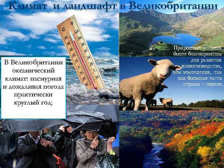 Климат и ландшафт в Великобритании В Великобритании океанический климат: пасмурная и дождливая погода практически