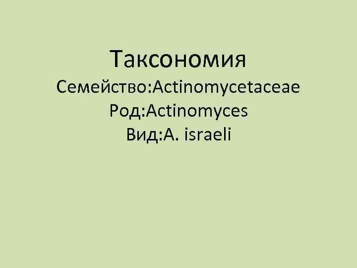 Таксономия Семейство: Actinomycetaceae Род: Actinomyces Вид: А. israeli 