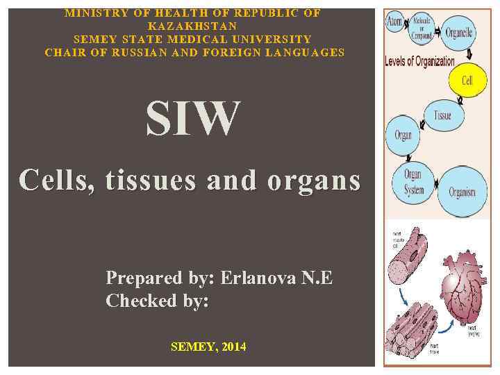 MINISTRY OF HEALTH OF REPUBLIC OF KAZAKHSTAN SEMEY STATE MEDICAL UNIVERSITY CHAIR OF RUSSIAN