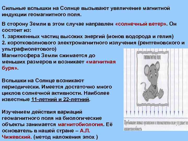 Сильные вспышки на Солнце вызывают увеличение магнитной индукции геомагнитного поля. В сторону Земли в