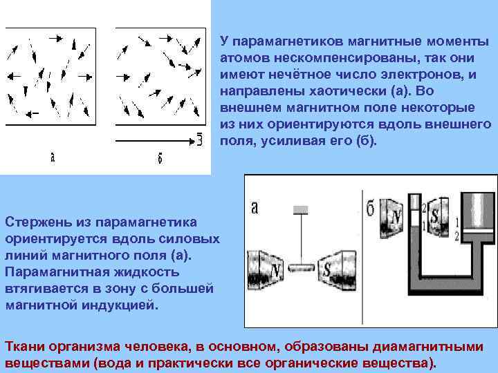 У парамагнетиков магнитные моменты атомов нескомпенсированы, так они имеют нечётное число электронов, и направлены