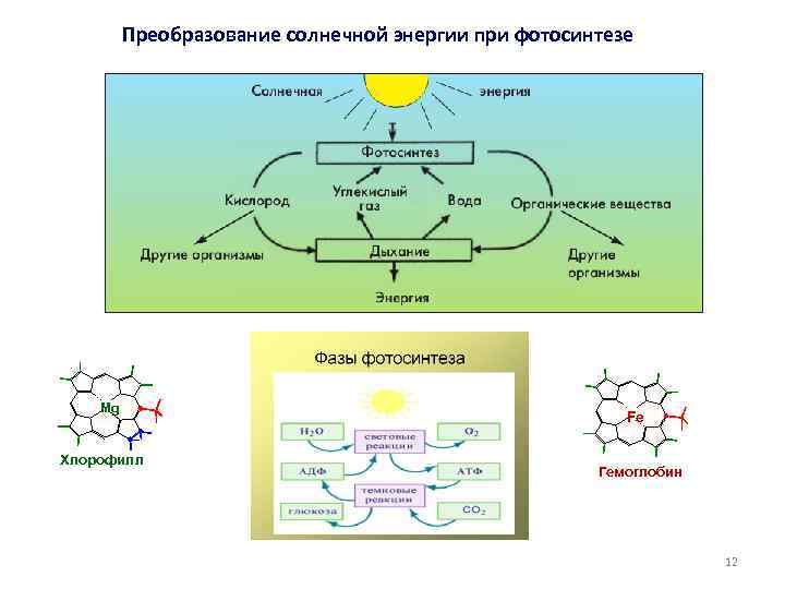 Какое преобразование энергии осуществляется в солнечных. Преобразование световой энергии в энергию химических связей. Схема преобразования солнечной энергии. Схема фотосинтеза 10 класс биология. Схема Солнечная энергия фотосинтез.