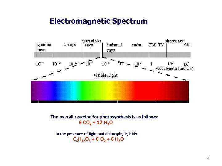Electromagnetic Spectrum The overall reaction for photosynthesis is as follows: 6 CO 2 +