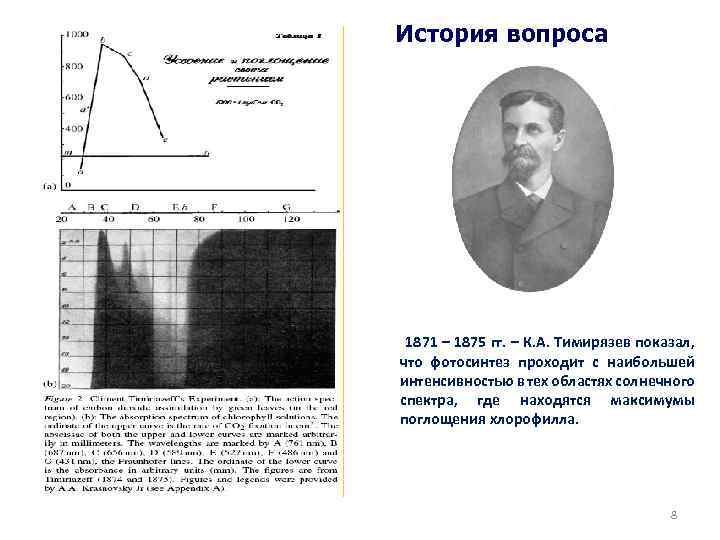 История вопроса 1871 – 1875 гг. – К. А. Тимирязев показал, что фотосинтез проходит