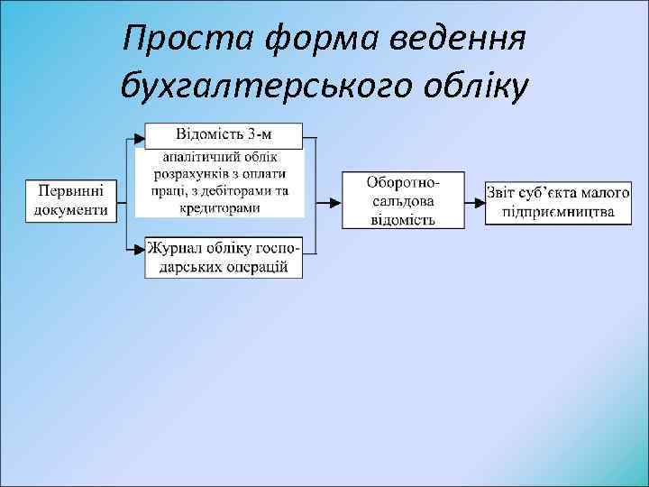 Проста форма ведення бухгалтерського обліку 