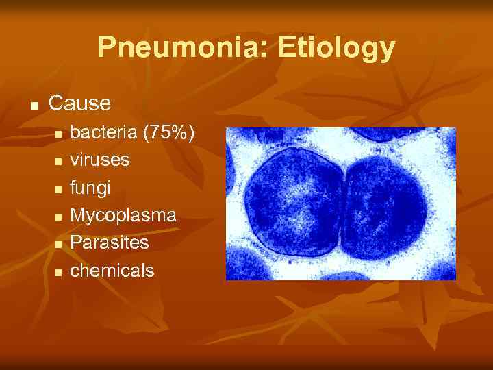 Pneumonia: Etiology n Cause n n n bacteria (75%) viruses fungi Mycoplasma Parasites chemicals