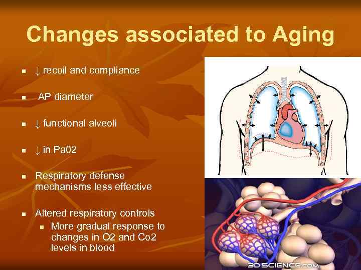 Changes associated to Aging n ↓ recoil and compliance n AP diameter n ↓