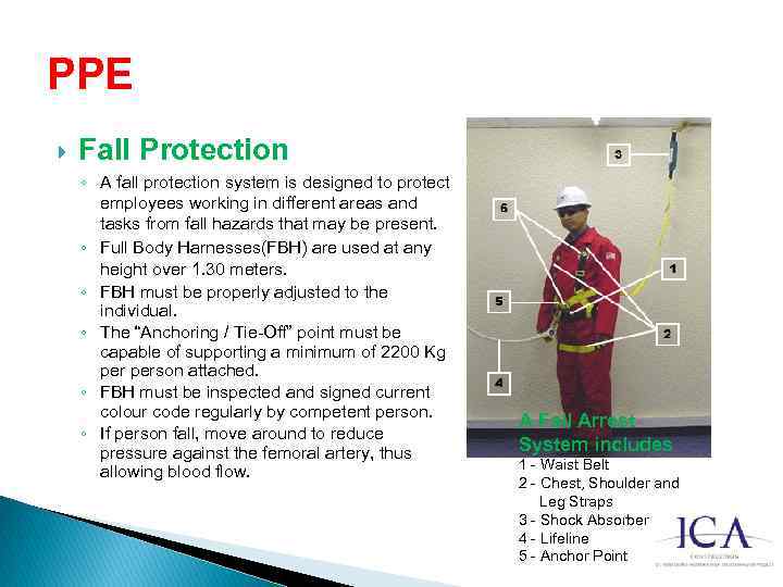 PPE Fall Protection ◦ A fall protection system is designed to protect employees working
