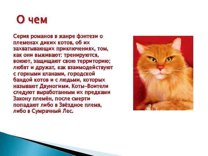 О чем Серия романов в жанре фэнтези о племенах диких котов, об их захватывающих