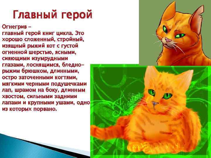 Главный герой Огнегрив – главный герой книг цикла. Это хорошо сложенный, стройный, изящный рыжий
